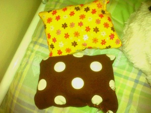 Two catnip pillows for two lucky cats